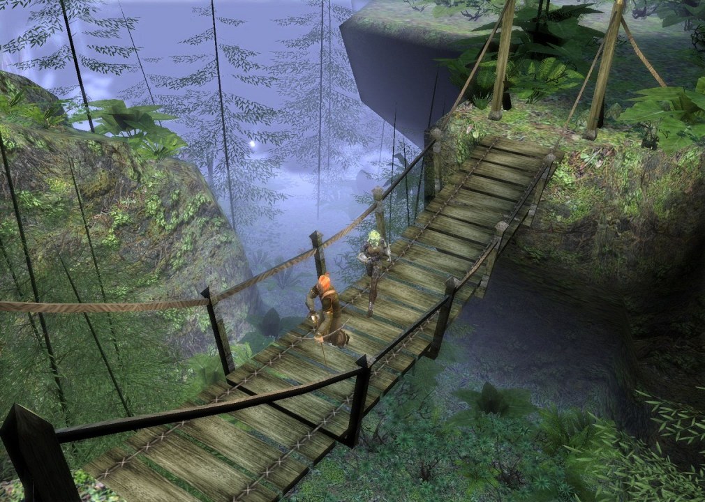 Dungeon Siege II — скриншот 1